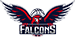 Newcastle Falcons(W)
